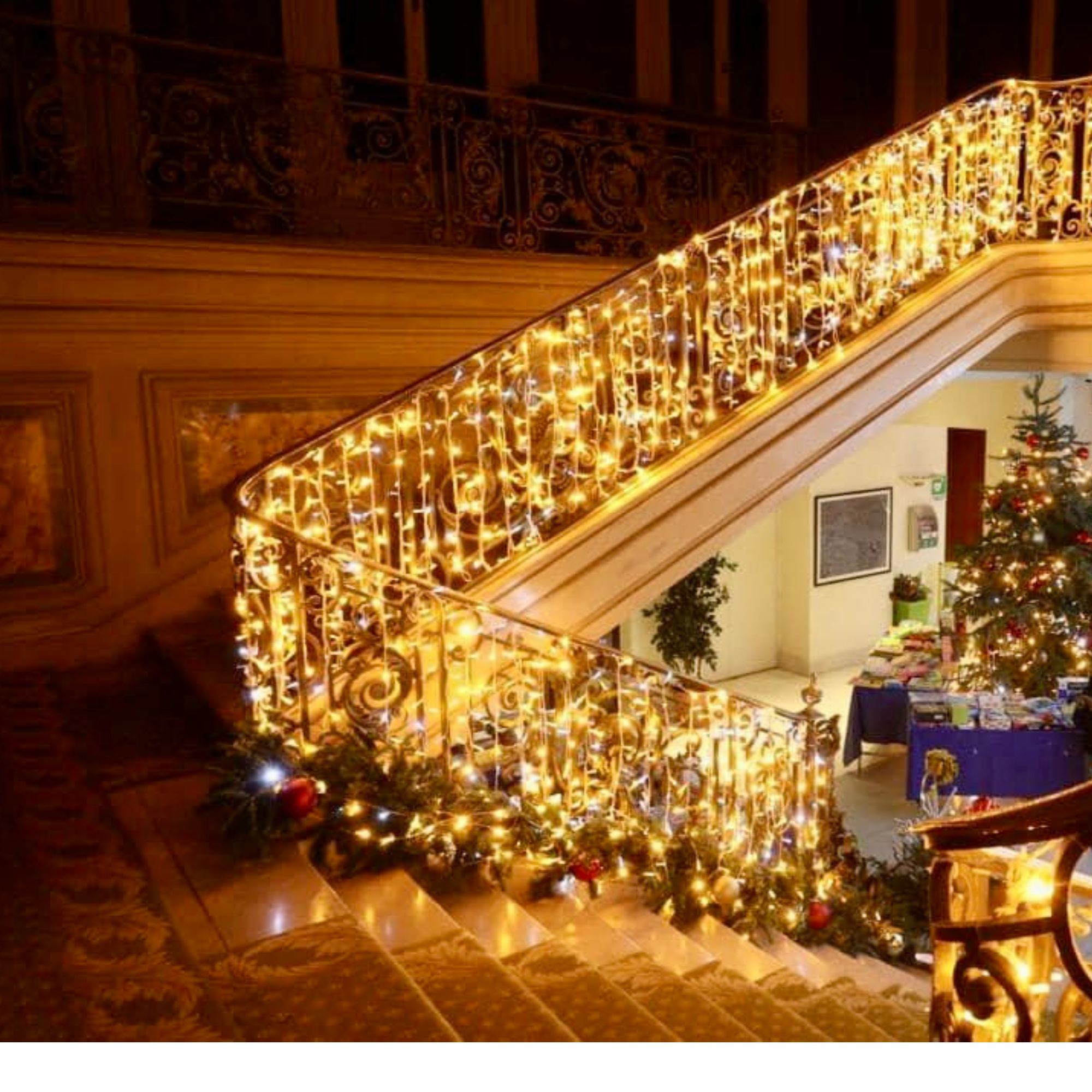 Rideau scintillant H3 x L2m - 230V